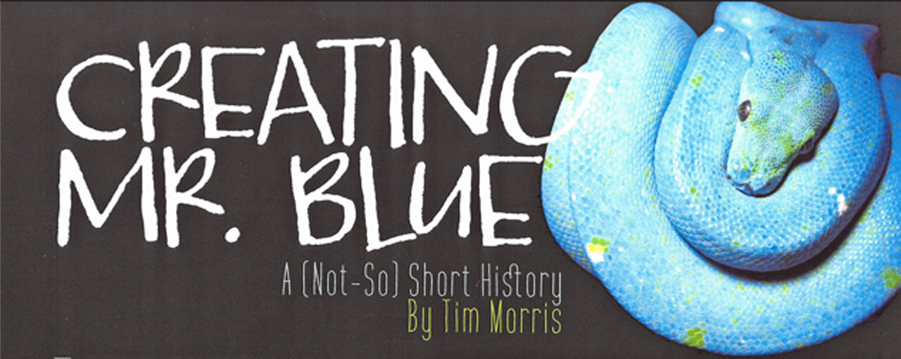 Creating Mr Blue